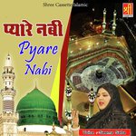 Pyare Nabi - Haji Tasleem Aarif Song Download